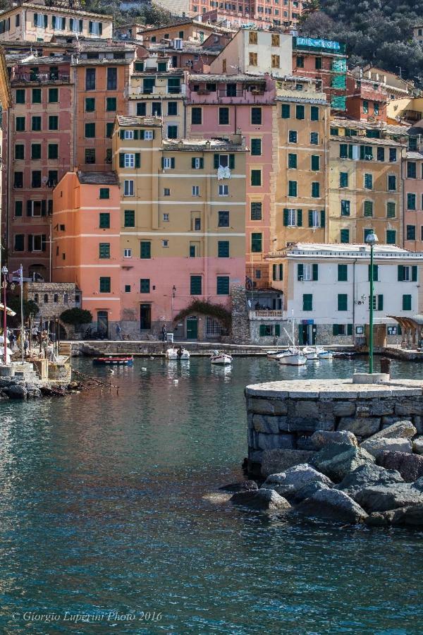 La Casa Di Francy Apartment Camogli Exterior photo
