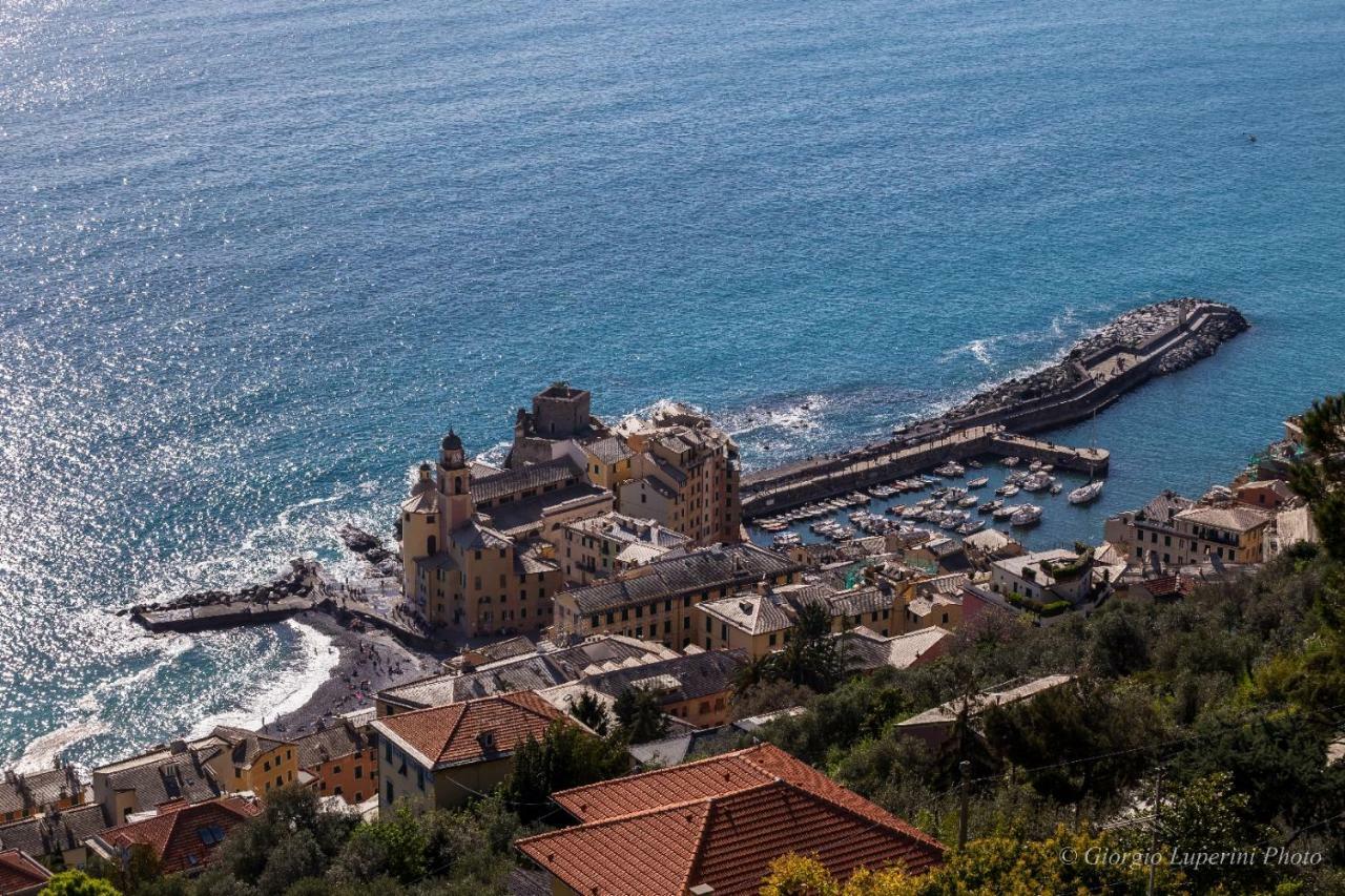 La Casa Di Francy Apartment Camogli Exterior photo